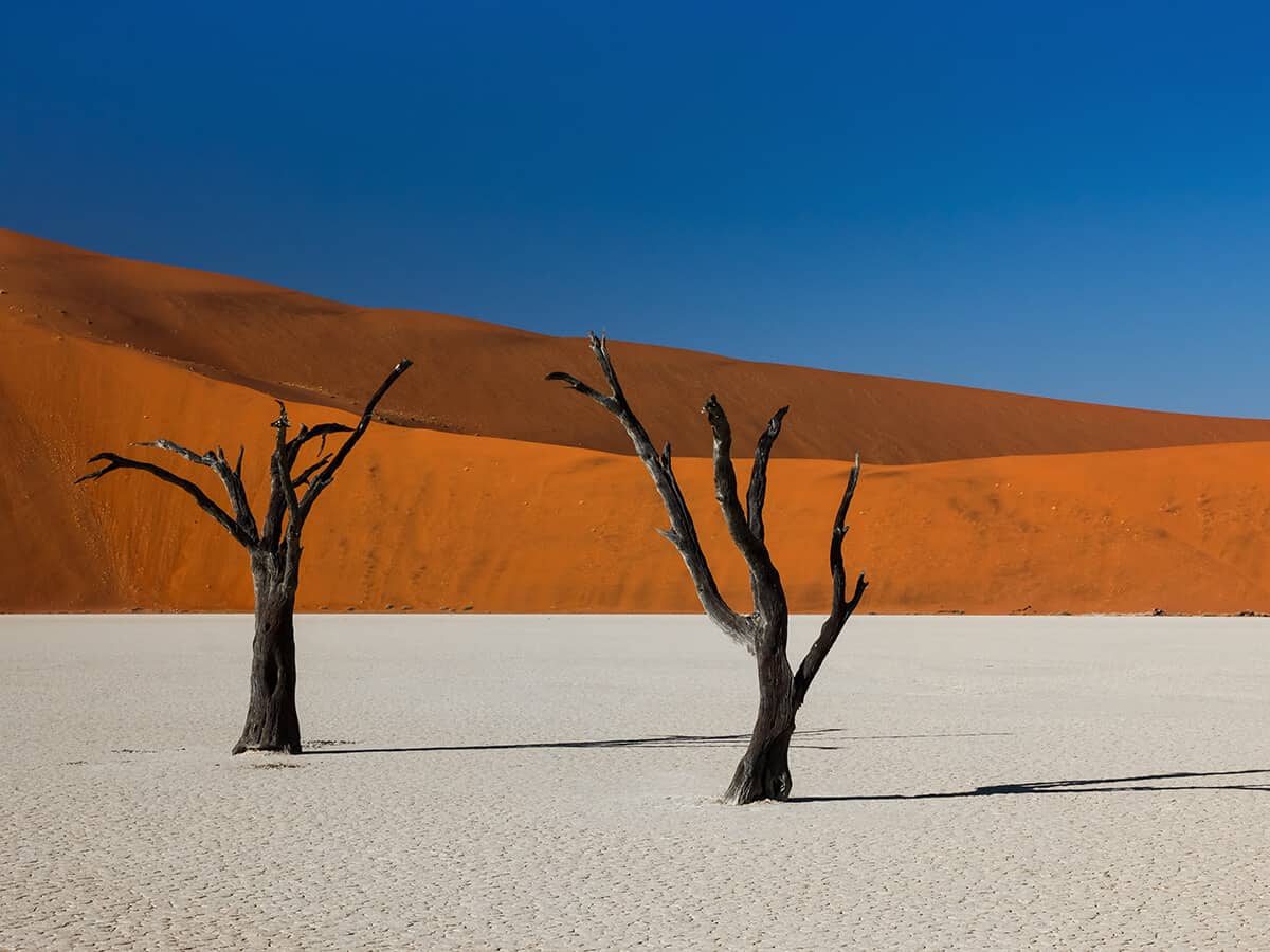 Viaggio di nozze in Namibia