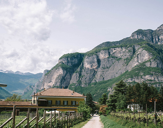 location matrimonio ecologico cantina endrizzi trento